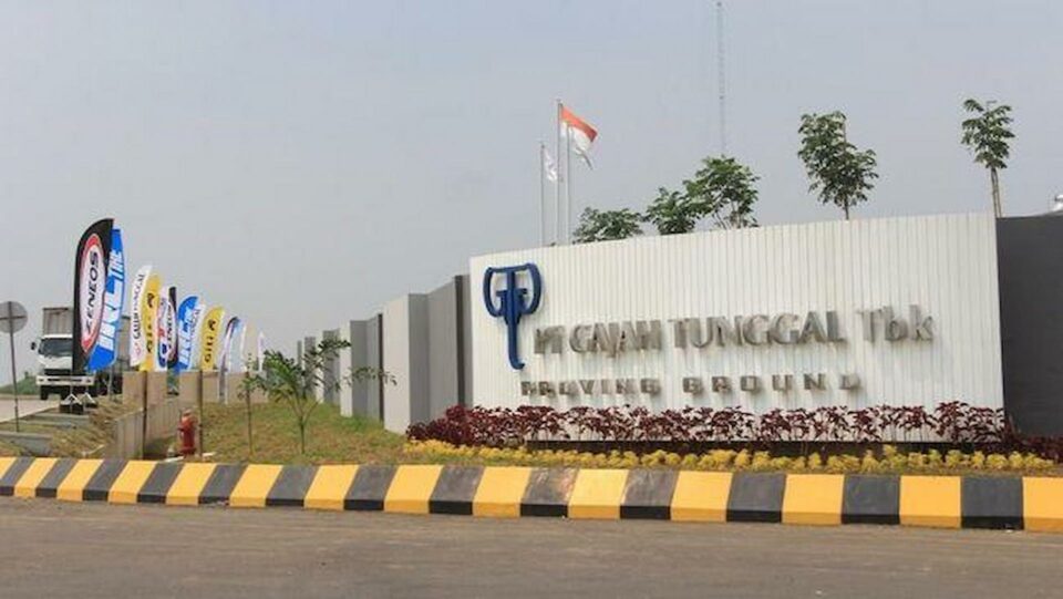 This Is a Image of Gajah Tunggal