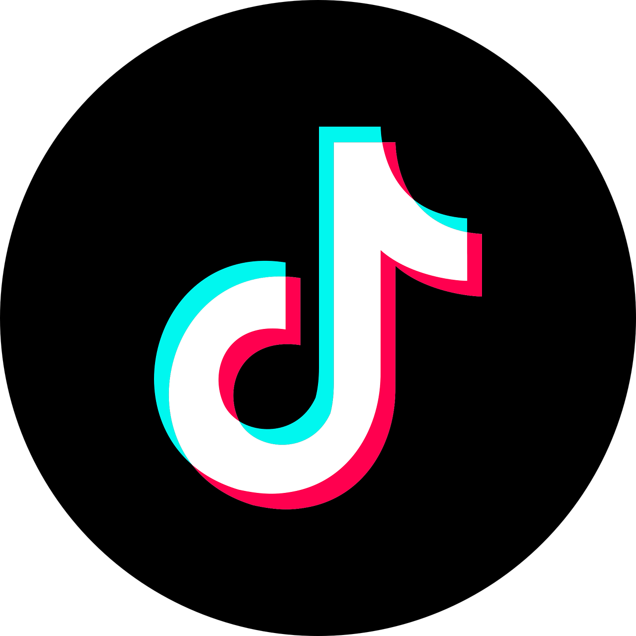 This is a Image of Tiktok
